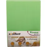 Vesna Luxusní prostěradlo JERSEY EXCELLENT s elastanem zelená 220x200 cm