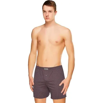 Trenýrky Pánské trenky klasik 04/5-31/771 FABIO šedá L