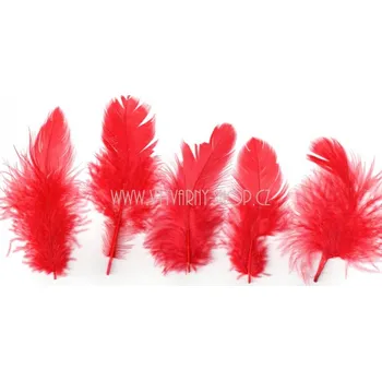 Lapač snů No name Peříčka 6 - 10 cm 10 g červená