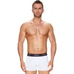 Pánské boxerky Pro 06/1-21/A2 FABIO bílá XL