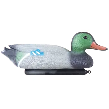 Happet Kachna - Samec