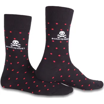 Street Racer Born To Ride