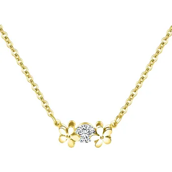 Náhrdelník Dámský náhrdelník z chirurgické oceli DIANA