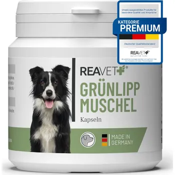 Kloubní výživa pro psa a kočku REAVET Prémiové kapsle ze slávky zelenoústé (100 ks - 300 ks) Počet kusů: 100 ks