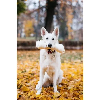 Pamlsek pro psa Buvolí uzel přírodní 33 cm PetsUp