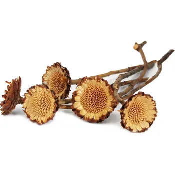 Zahradní dekorace SU SUSANNAE přírodní 10ks 25-40cm