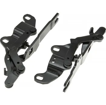 Kapota SADA ZÁVĚSŮ KAPOTY MOTORU BMW 3 E90 2004-/levý/pravý/ 41617210677 NTY