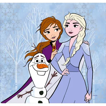 Polštář Dekorační polštář FROZEN 2 DISNEY 40x40cm CND 3130