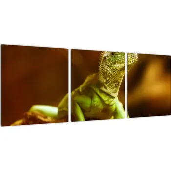 Obraz Obraz na zeď - zvířata 90x30cm