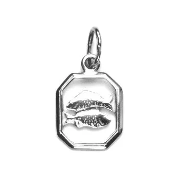 Přívěsek Stříbrný přívěsek měsíční znamení ryby - P127 (Stříbrný přívěsek ryby)