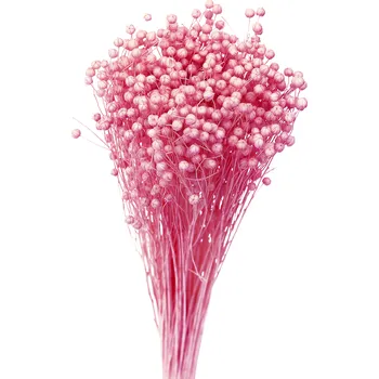 Sušený len tmavě růžový 80 g