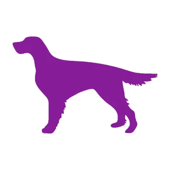 Polep vozidla SAMOLEPKA Pes 188 levá Setr (14 - fialová) NA AUTO, NÁLEPKA, FÓLIE, POLEP, TUNING, VLASTNÍ TEXT, TISK, AUTOSAMOLEPKY.cz, POLEPY, OBRÁZEK, LOGO, SAMOLEPKY