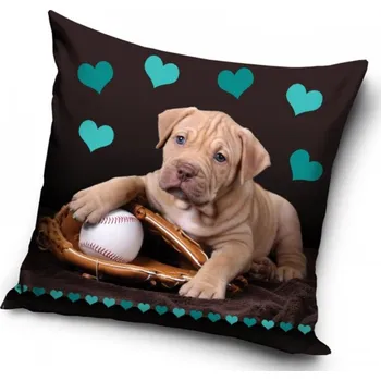 Povlak na dekorativní polštářek POVLAK NA POLŠTÁŘEK PITBULL MALÝ NADHAZOVAČ