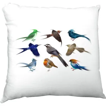 Pánská móda Polštář saténový s potiskem Ptáčci