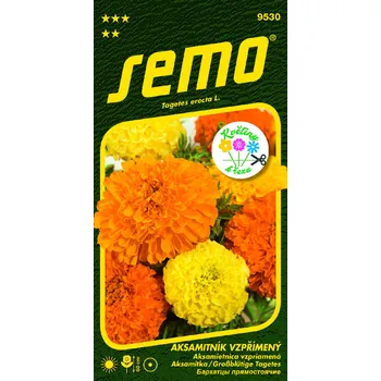 Semeno SEMO Aksamitník vzpřímený směs Tagetes Erecta 1 g