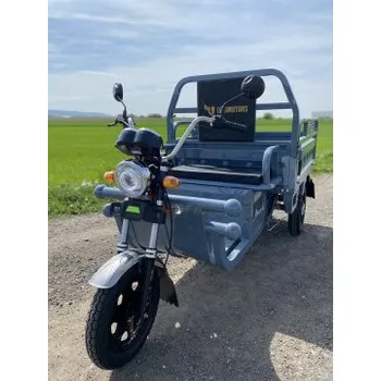 Elektrotříkolka Elektro Tříkolka Leramotors Cargo G1 1000W COC Zelená, Barva šedá Leramotors