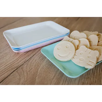 PETRAplast Plastový podnos obdélník 19 x 13 cm Světle modrá