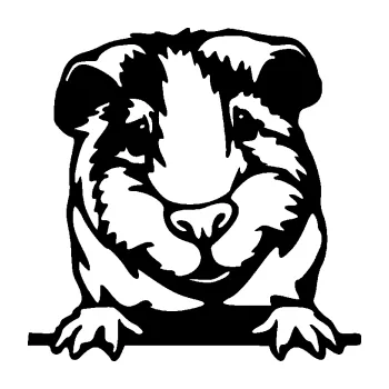 Samolepící dekorace SAMOLEPKA Morče 004 pravá (01 - černá) NA AUTO, NÁLEPKA, FÓLIE, POLEP, TUNING, VLASTNÍ TEXT, TISK, AUTOSAMOLEPKY.cz, POLEPY, OBRÁZEK, LOGO, SAMOLEPKY