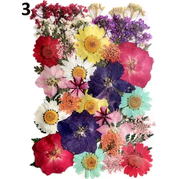 Sušené a lisované květiny do pryskyřice „B“ Druh: 3