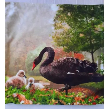 Dekorativní polštářek Povlak na polštářek Fotopolštář Labuť