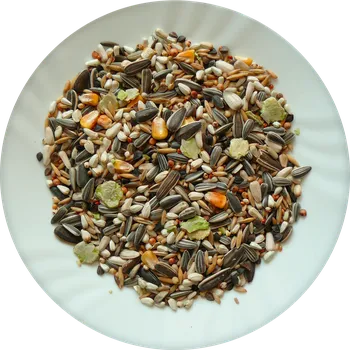 Krmivo pro ptáka Směs do krmítek speciál 5 kg