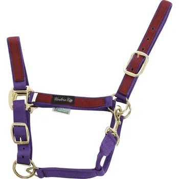 Vybavení pro koně Umbria Equitazione Ohlávka nylonová Colored Parts Umbria Equitazione, purple/burgundy PONY