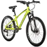 Leader Fox Capitan 24" 2023