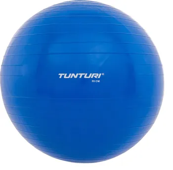 Gymnastický míč Tunturi Gymnastický míč s pumpičkou 65 cm