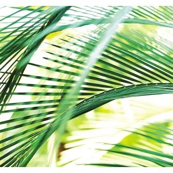 Tapeta Vliesová fototapeta na zeď Rasch 890501, Magic Walls, velikost 2,65 x 2,65 m