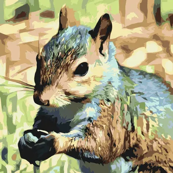 Malování podle čísel - Veverka Velikost: 50x50cm, Rámování: Pouze srolované plátno