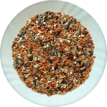 Krmivo pro ptáka Směs do krmítek classic 5 kg