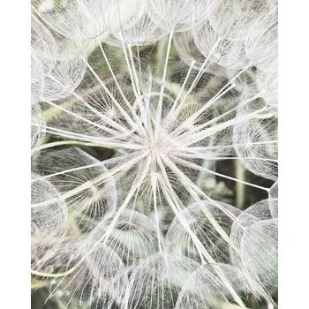 Tapeta Vliesová fototapeta na zeď Rasch 364101, Magic Walls, velikost 2,12 x 2,65 m