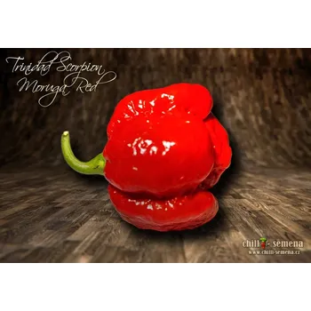 Semeno chilli-semena Trinidad Moruga Scorpion Red