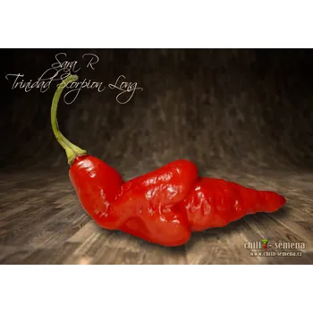 Semeno chilli-semena Sara R Trinidad Scorpion Long