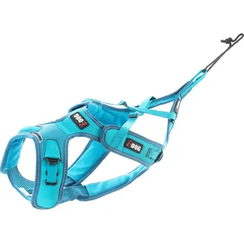 Postroj pro psa I-Dog ALM Phoneix postroj, modrý XXS