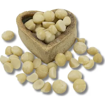 FITBOY Makadamové ořechy 500g 500g