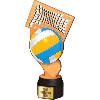 Poháry Bauer Dřevěná trofej ACTCW023 | Volejbal