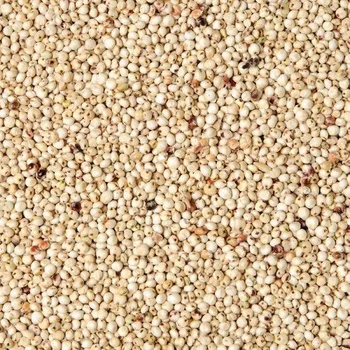 Krmivo pro ptáka Fauna Hradil Čirok bílý Dari 10 kg