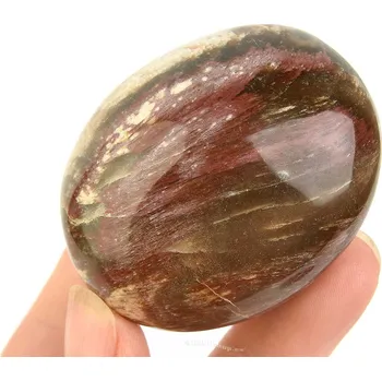 Přírodní kámen Hladký kámen zkamenělé dřevo (Madagaskar) 112g