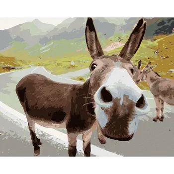 Hračka Diamondi Diamantové malování - OSEL NA SILNICI Rozměr: 40x50 cm, Rámování: bez rámu a bez vypnutí plátna