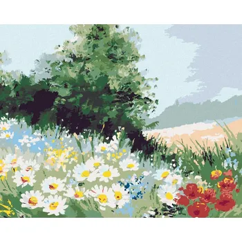 Diamondi Diamantové malování - SEDMIKRÁSKOVÉ POLE Rozměr: 40x50 cm, Rámování: vypnuté plátno na rám