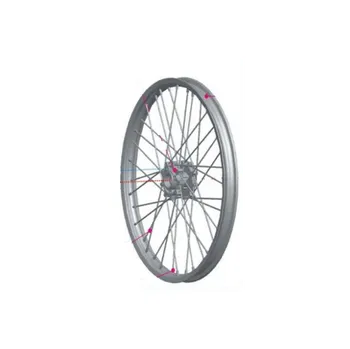 Alu kolo Přední disk kompletní 21" XMOTOS FX1