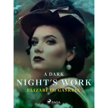 Kniha A Dark Night's Work