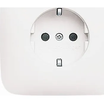 Elektrická zásuvka Busch-Jaeger vestavný zásuvka s ochranným kontaktem čistě bílá (RAL 9010), bílá 2CKA002011A1896