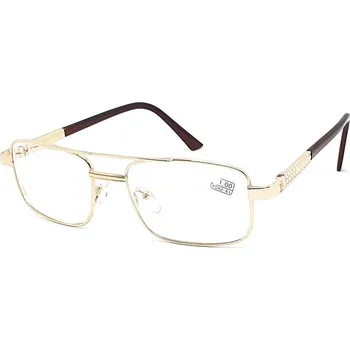 Brýle na čtení Dioptrické brýle 812 / -2,00 gold/brown FLex