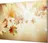 Glasdekor Ochranná deska s lepením na zeď 52 x 60 cm, javorové listí v záři slunce