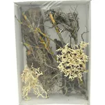 Lucky Reptile Deco Set Desert