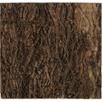 Dekorace do terária Repti Planet Přírodní korkové pozadí 58,5 x 56 x 2 cm