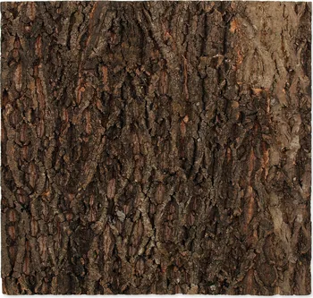 Dekorace do terária Repti Planet Přírodní korkové pozadí 58,5 x 56 x 2 cm