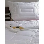 Polštář Dueto - EV, 50x70 cm x 600 g/m2